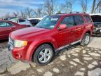 2010 Ford Escape Limited
