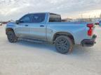 2024 Chevrolet Silverado K1500 Trail Boss Custom