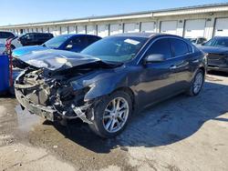 Nissan salvage cars for sale: 2009 Nissan Maxima s