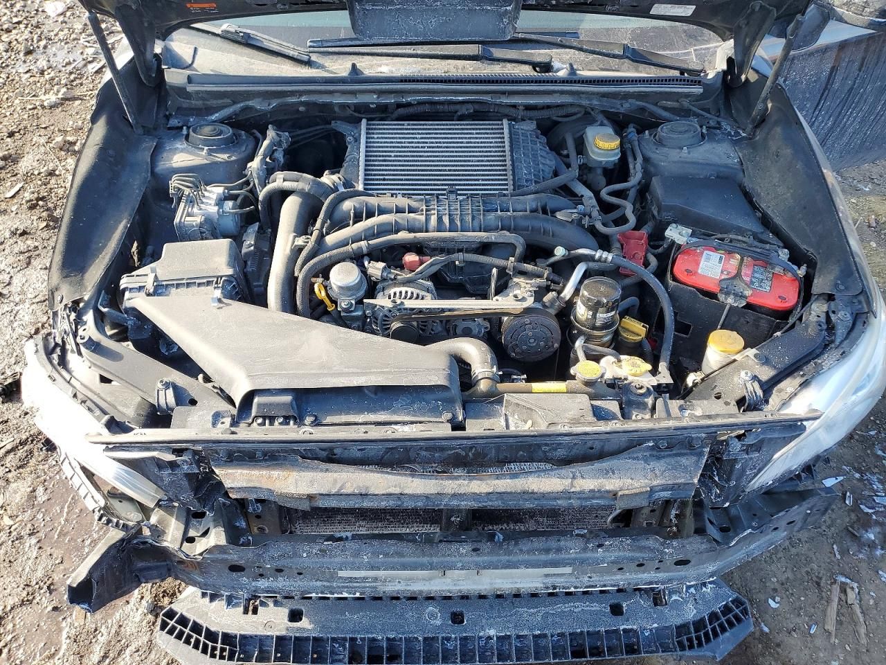 2019 Subaru Wrx Premium