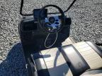 2025 Asse Golf Cart