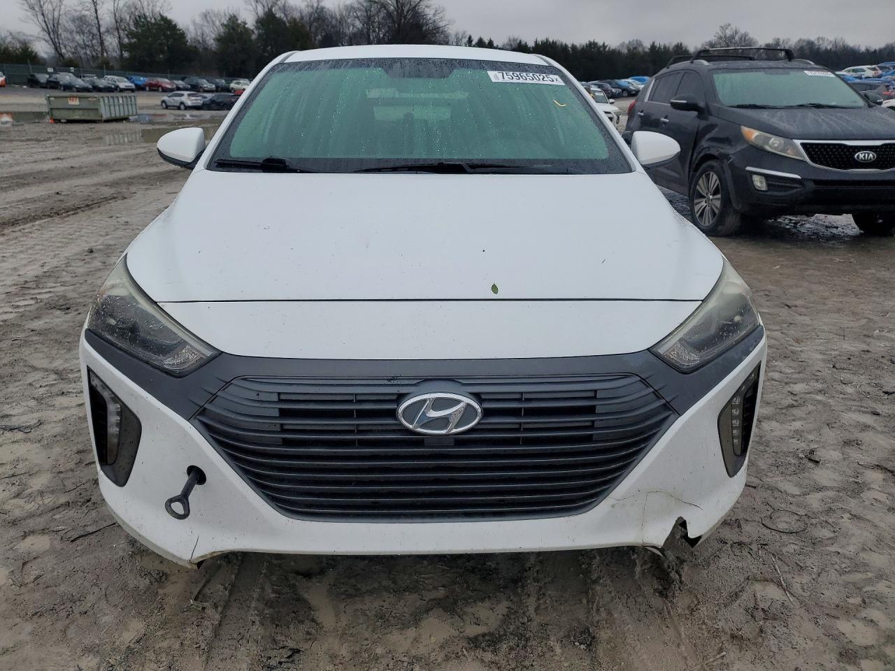 2019 Hyundai Ioniq Blue