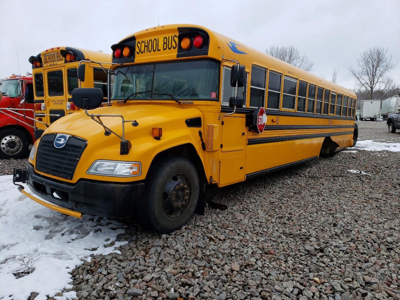 2019 Blue Bird School Bus / Transit Bus