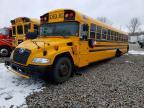 2019 Blue Bird School Bus / Transit Bus