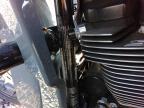 2022 Harley-Davidson Fltrxs
