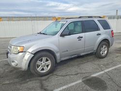 2010 Ford Escape Hybrid for sale in Van Nuys, CA