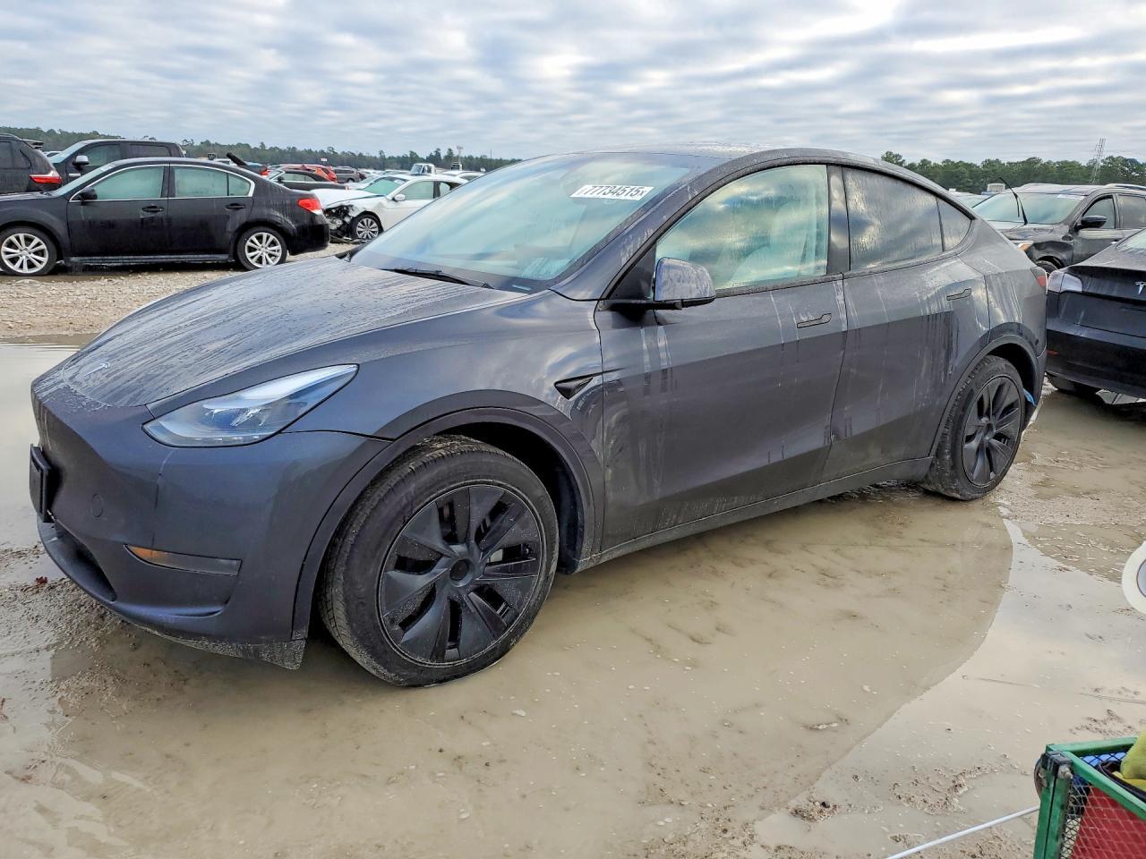 2025 Tesla Model y
