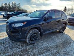 2019 Toyota Rav4 xle for sale in Bowmanville, ON