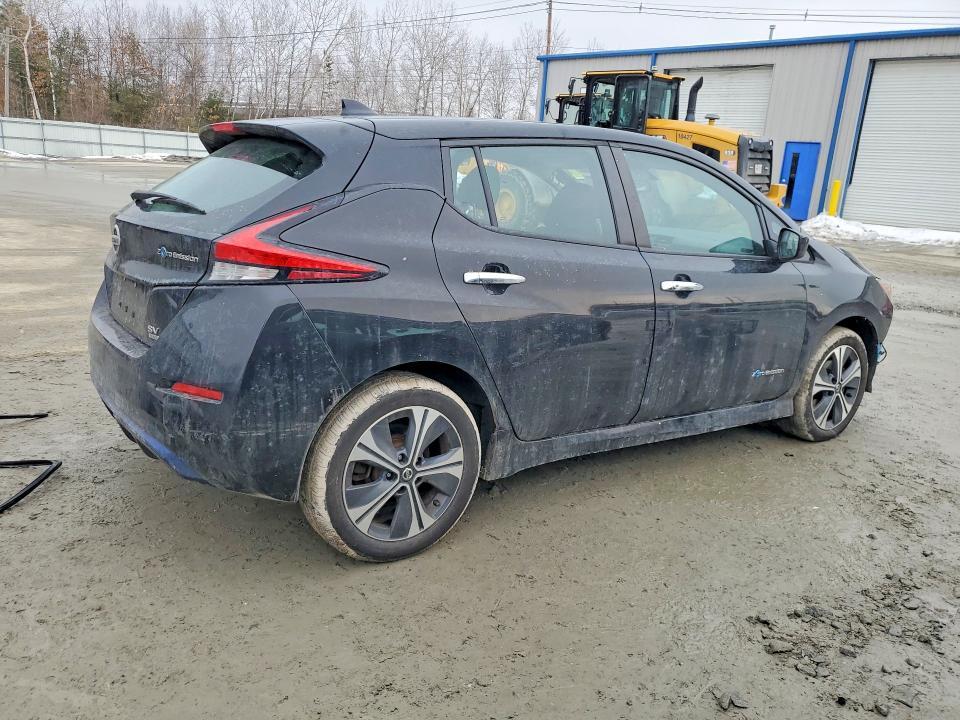 2019 Niss Leaf