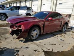 Ford salvage cars for sale: 2004 Ford Mustang gt