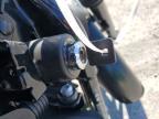 2021 Harley-Davidson XL883 N