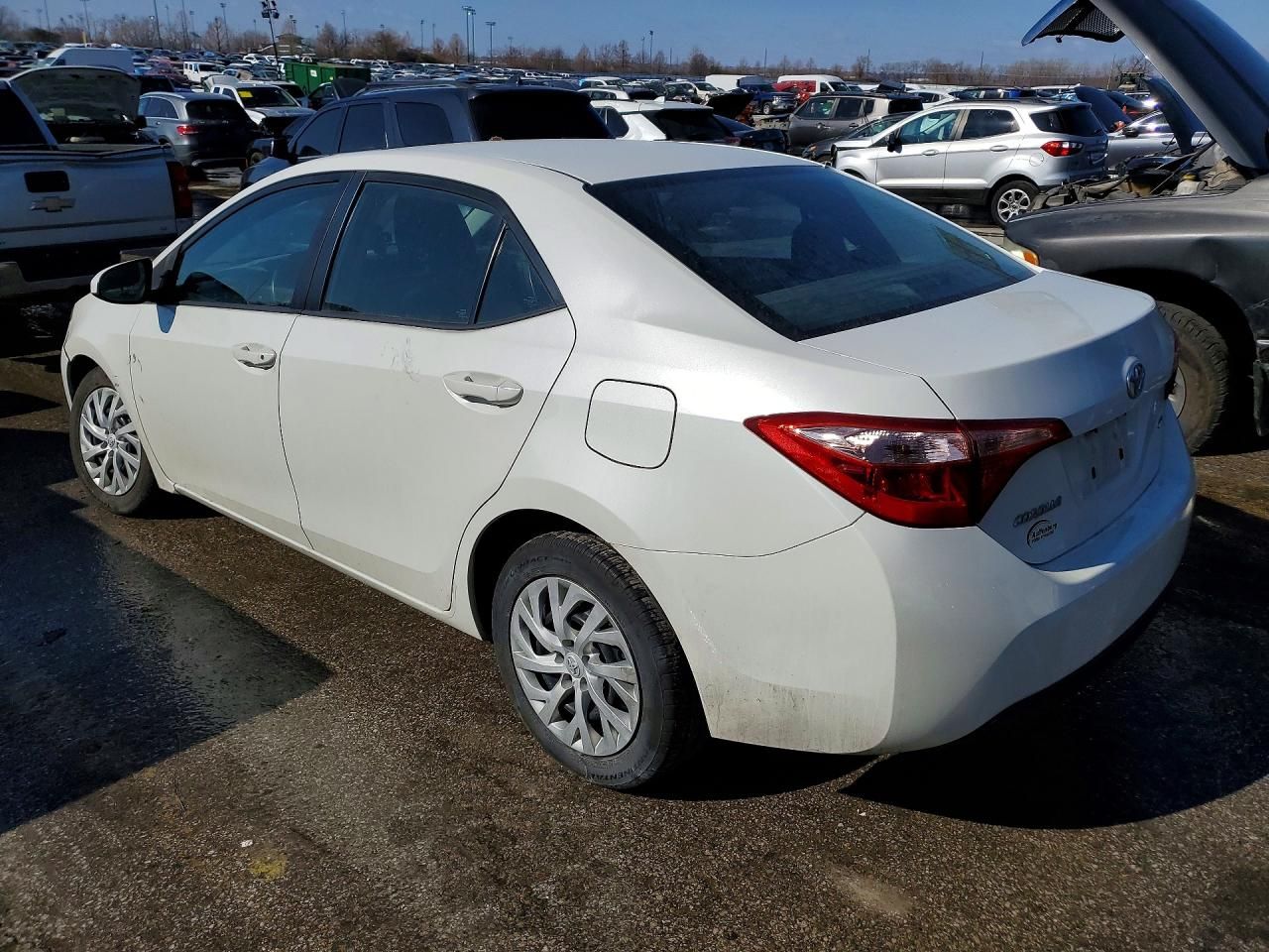 2019 Toyota Corolla l