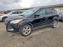 Ford Vehiculos salvage en venta: 2016 Ford Escape se