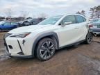 2020 Lexus Ux 250h