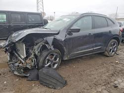 Ford Escape st salvage cars for sale: 2024 Ford Escape st Line