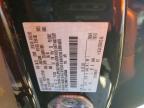 2023 Ford Escape st Line