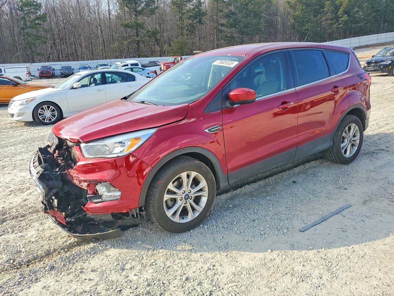 2019 Ford Escape se