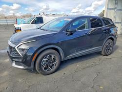 2025 KIA Sportage lx for sale in Fresno, CA