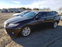 Vehiculos salvage en venta de Copart Sacramento, CA: 2014 Lexus Es 350 Base