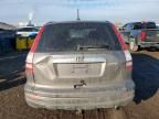 2010 Honda Cr-v exl