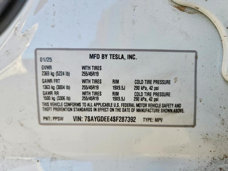 2025 Tesla Model y