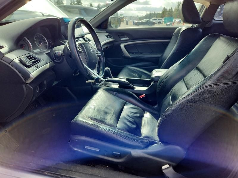 2009 Honda Accord exl