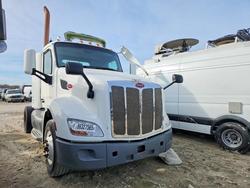 Salvage trucks for sale at Grand Prairie, TX auction: 2015 Peterbilt 579 Semi Truck
