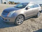 2011 Cadillac Srx Performance Collection