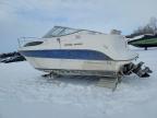 2004 Bayliner Bayliner