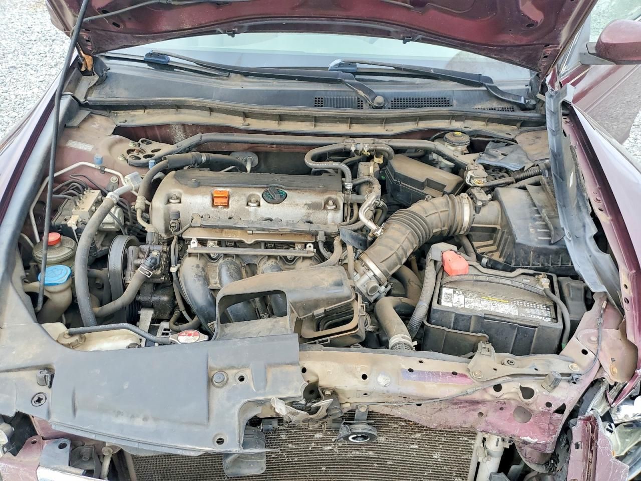 2010 Honda Accord ex