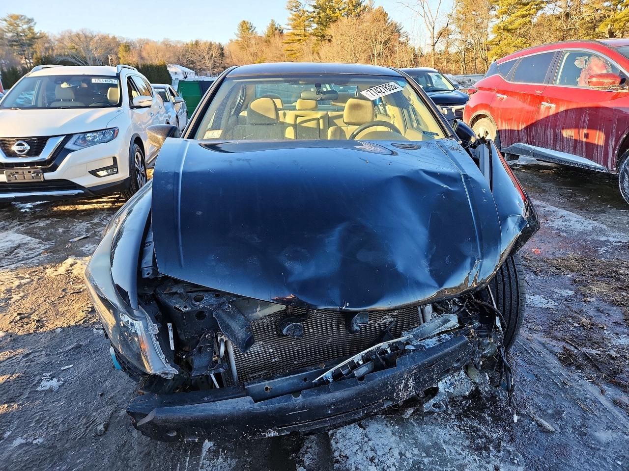 2010 Honda Accord lxp