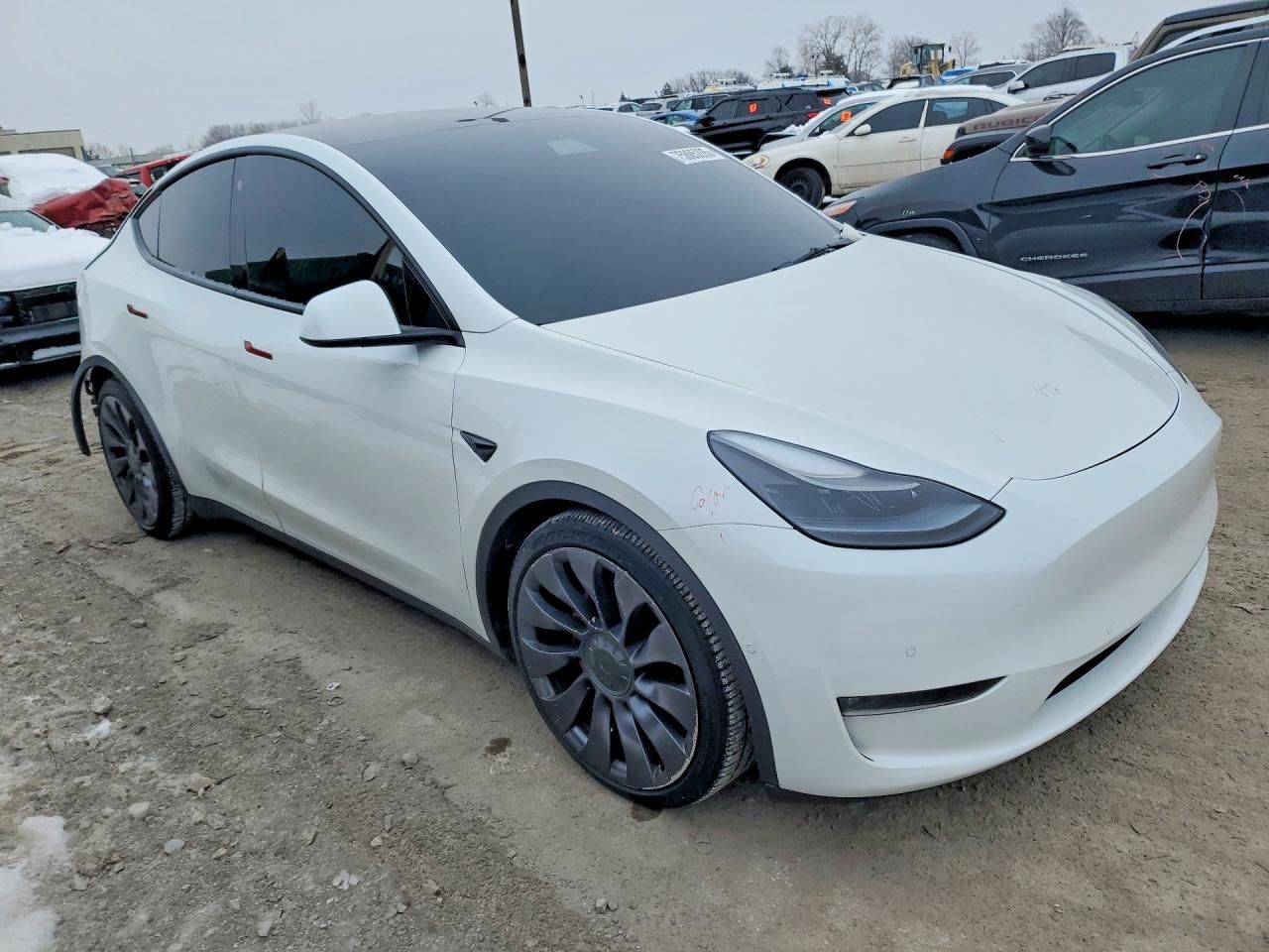 2021 Tesla Model y
