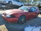 1999 Ford Mustang