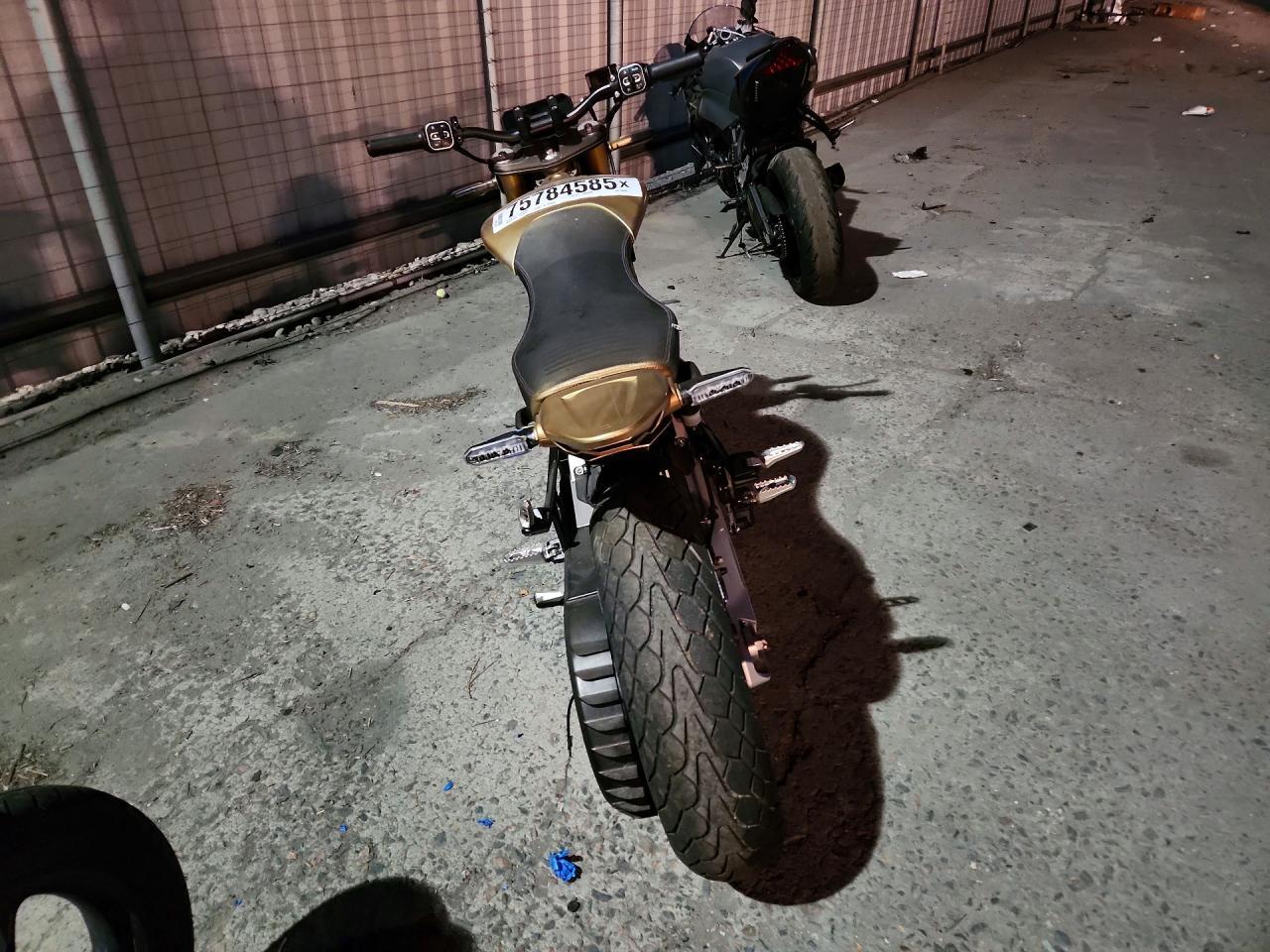 2024 Ryvid Other Anthem