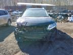 2016 Niss Rogue sl