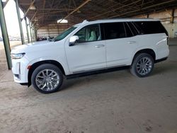 Cadillac Escalade salvage cars for sale: 2021 Cadillac Escalade Premium Luxury Platinum