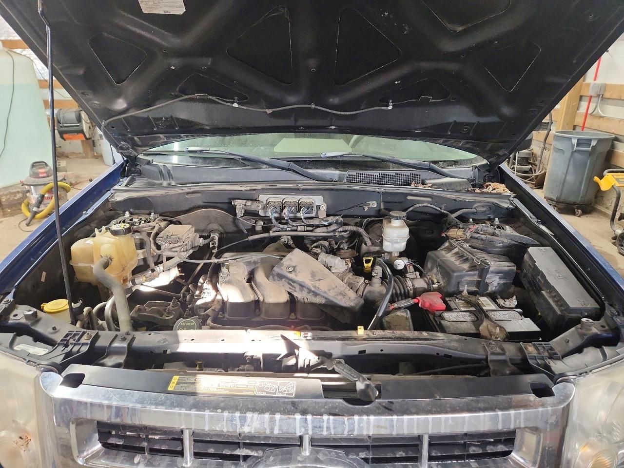 2008 Ford Escape xlt