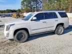 2018 Cadillac Escalade Platinum