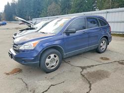 Honda crv Vehiculos salvage en venta: 2010 Honda Cr-v lx