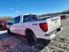 2025 Ford F150 Platinum
