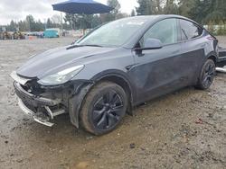 Tesla salvage cars for sale: 2025 Tesla Model y