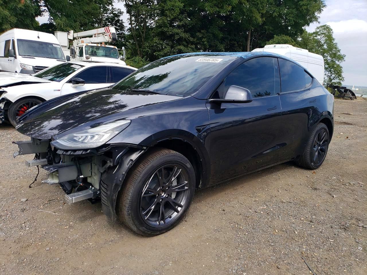 2025 Tesla Model y
