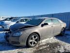 2011 Chevrolet Malibu 1LT