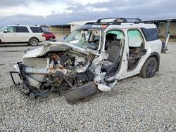 2024 Ford Bronco Sport big Bend for sale in Brighton, CO