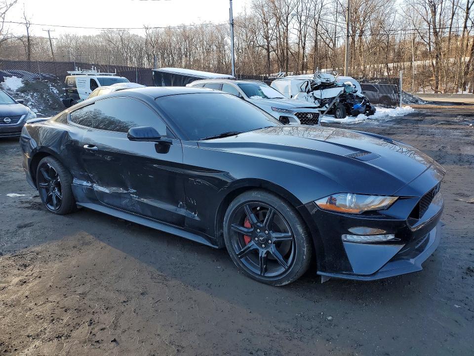 2019 Ford Mustang gt
