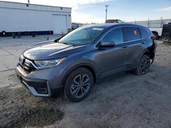 Honda salvage cars for sale: 2020 Honda Cr-v ex