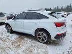 2021 Audi SQ5 Sportback Premium