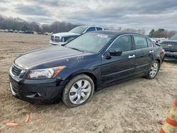 2009 Honda Accord exl for sale in Conway, AR