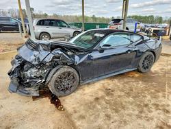 Ford salvage cars for sale: 2024 Ford Mustang gt