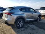 2020 Lexus Nx 300 Luxury